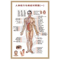 Body Meridians Acupoints Standard Wall Chart High Definition Acupuncture Cupping Acupoints Picture Physiotherapy General Body Meridians Massage Contrasts