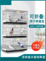 Pigeon Supplies Utensils Large Total Space Bird Tetfamily Cyclone Parrot Superior End Gear Subsuper Large Web Red Cage Breeding