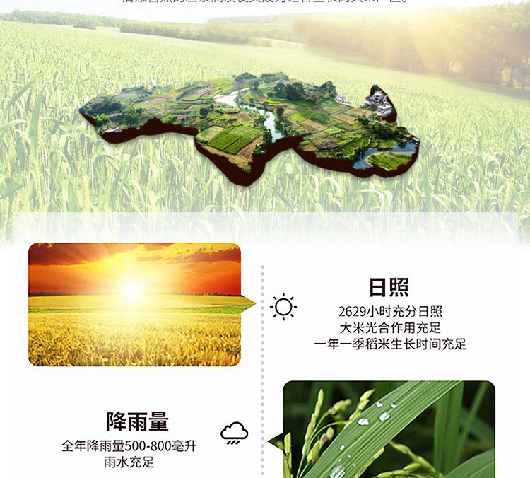 新米上市 中粮福临门 雪国冰姬 五常大米 10斤 图5