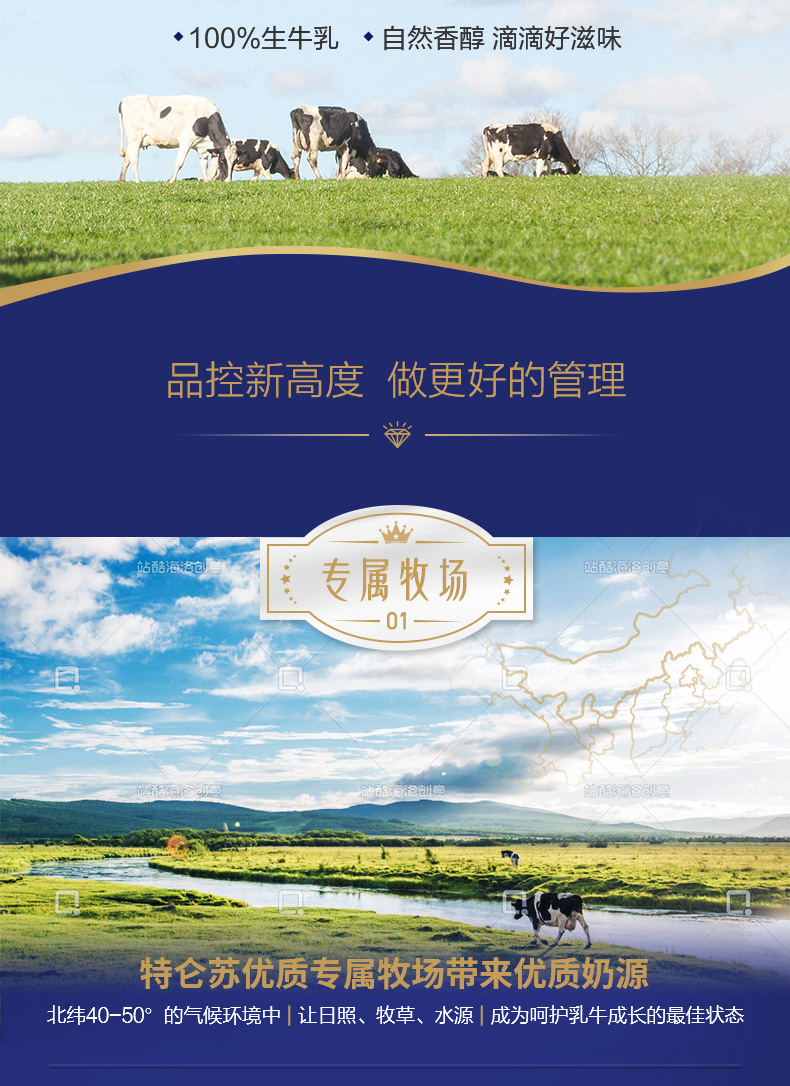 蒙牛特仑苏纯牛奶2箱250ml*32包