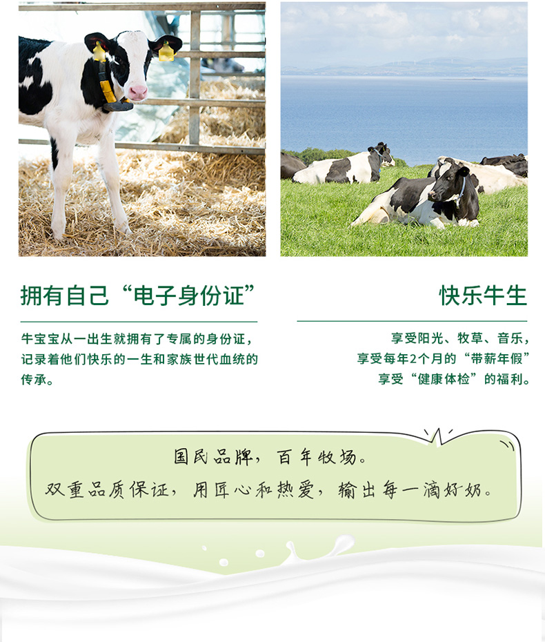蒙牛 澳洲进口 全脂纯牛奶 1L*12盒 高钙高蛋白 图7