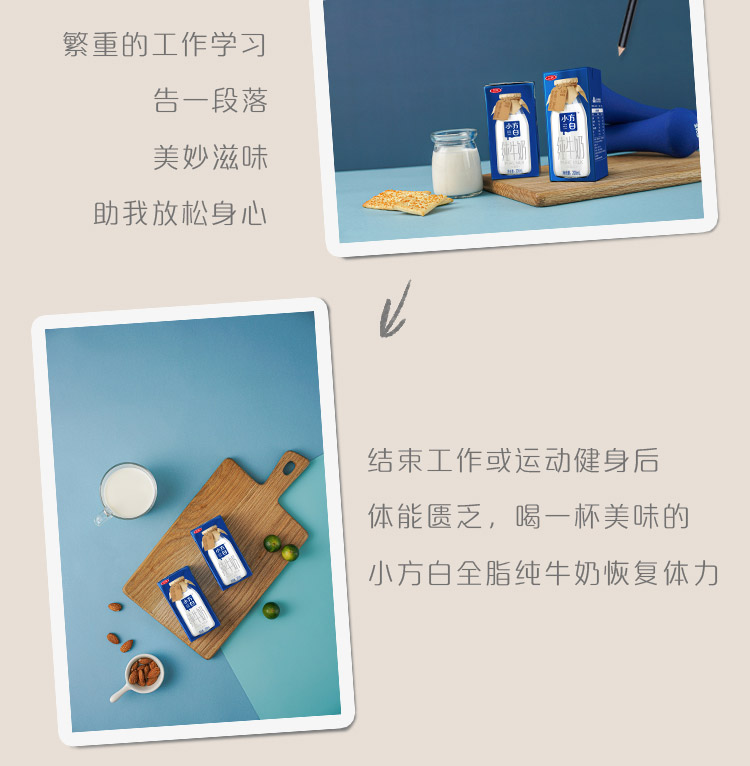 2箱！三元小方白纯牛奶200ml*48盒