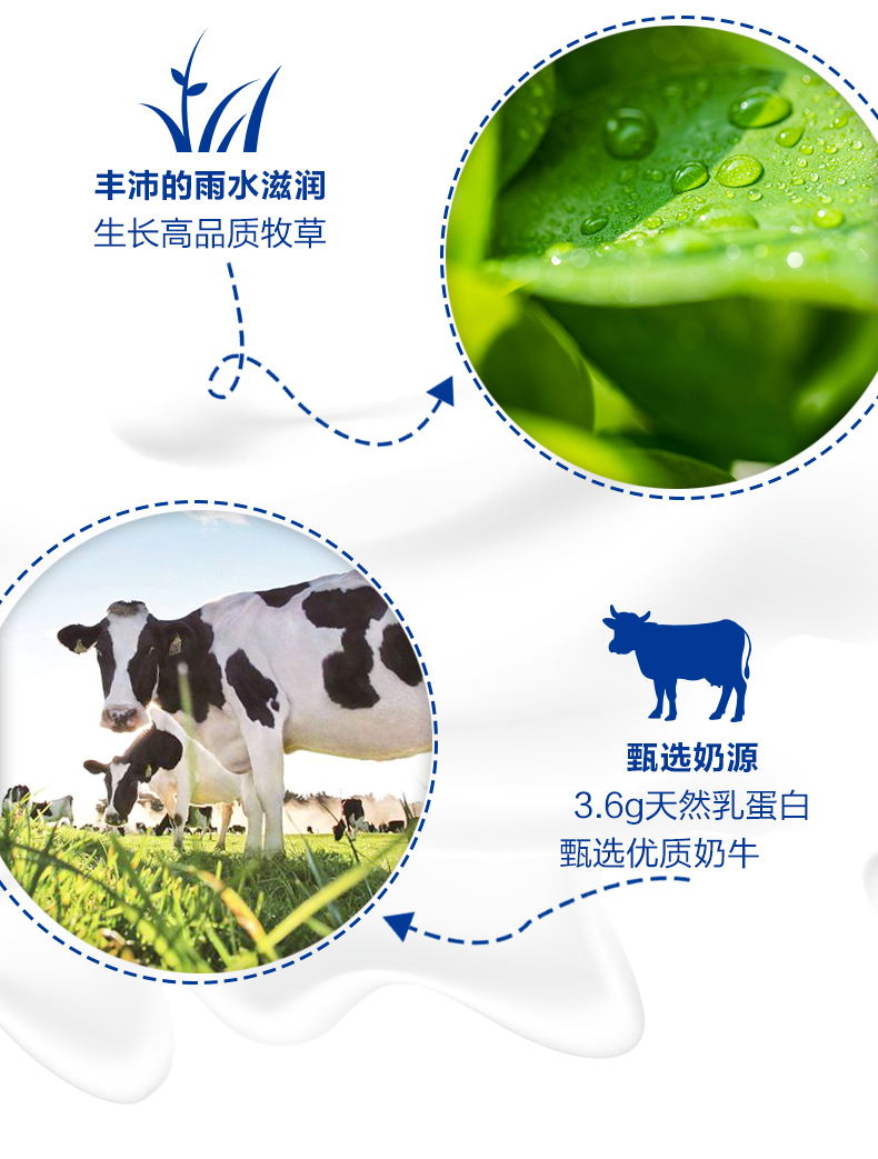 中国农垦乳业联盟 三元 极致全脂纯牛奶 250ml*12盒*2箱 3.6g乳蛋白 图7