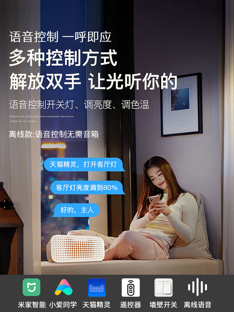 Living Room Main Light 2025 New Model Simple Modern Full Spectrum Ceiling Light for Hall Home Use Guangdong Zhongshan Lighting Fixtures Whole House