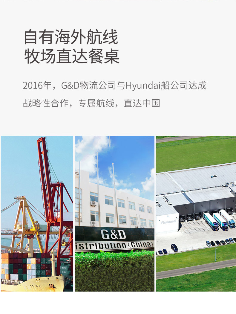 荷兰 风车牧场 脱脂高钙纯牛奶 1L*12盒 图14