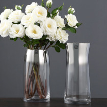 European Electroplated glass transparent vase ins living room decoration Hydroponic bamboo lily plug dried flower vase desktop