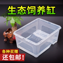 Special cylinder fish tank for turtle small turtle cylinder with sundae pet raising turtle living turtle living water turtle pelvis