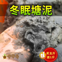 Turtle Hibernating Pond Clay Soil Muddy Water Turtle Special Planting Earth Universal Pure Home Pond Mud Turtle Used For The Purpose