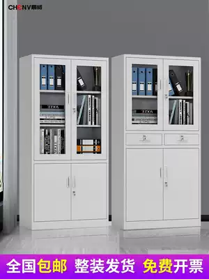 Custom file cabinet Iron cabinet Office cabinet Locked file tool cabinet Low cabinet Iron cabinet Small cabinet Storage cabinet
