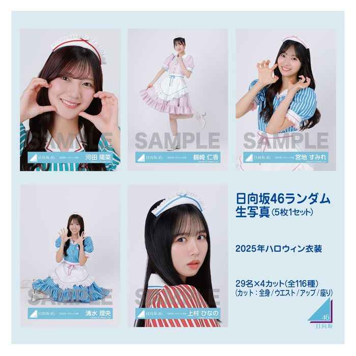 日向坂46生写- Top 50件日向坂46生写- 2025年11月更新- Taobao