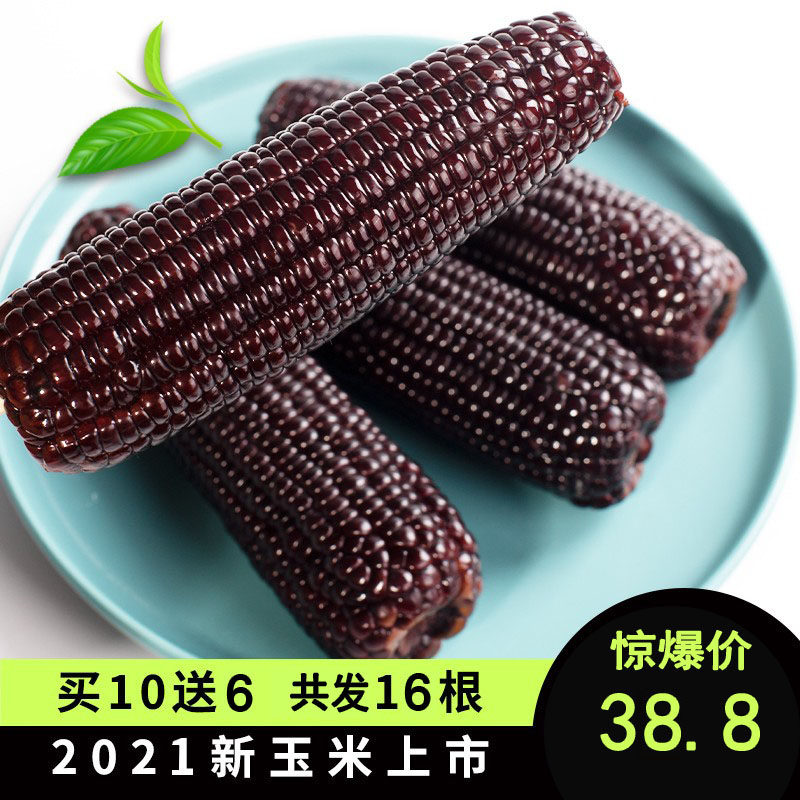 16 Northeast Black Corn Vacuum Pack Corn Instant Waxy Corn Fresh Sticky Cooked Corn Official Flagship Store