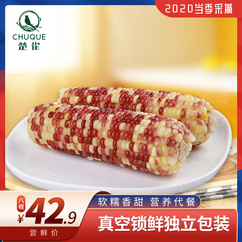 Chu finch fresh pick color waxy corn flower corn cob sweet waxy corn vacuum ready-to-eat corn 8 1760