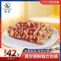 Chu Finch fresh fresh pick color waxy corn flower corn cob sweet sticky glutinous corn vacuum instant 8 corn 1760