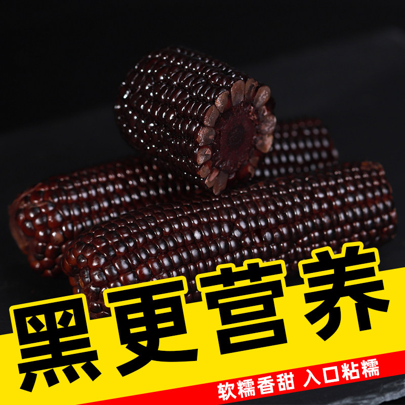 FCL of 14 sticks of northeast black corn fresh black waxy corn vacuum packed children's corn sticky instant corn cob