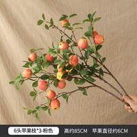 Розовые 6 голов яблок яблок из 3 филиалов