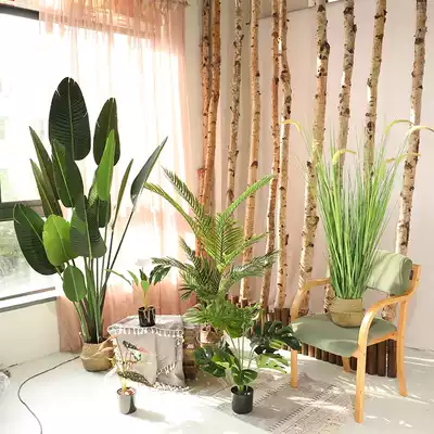 Simulation plant traveler banana fake green plant potted decoration Large indoor bird of paradise fake tree living room Nordic decoration