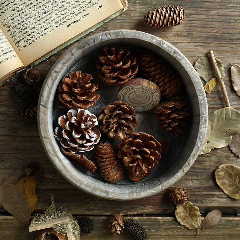 Wooden round table top storage plate antique solid wood shanto retro old Zen tool box photo photography props