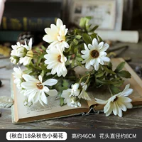 1 букет осенних белых ромашек