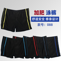 Factory direct sales mens hot spring swimming trunks new fat increase four corners flat angle swimsuit anti-embarrassment swimsuit trend men