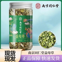 Nanjing Tongrentang Motherwort 30g Motherwort tea soaked in water brewed scented tea official website official flagship store