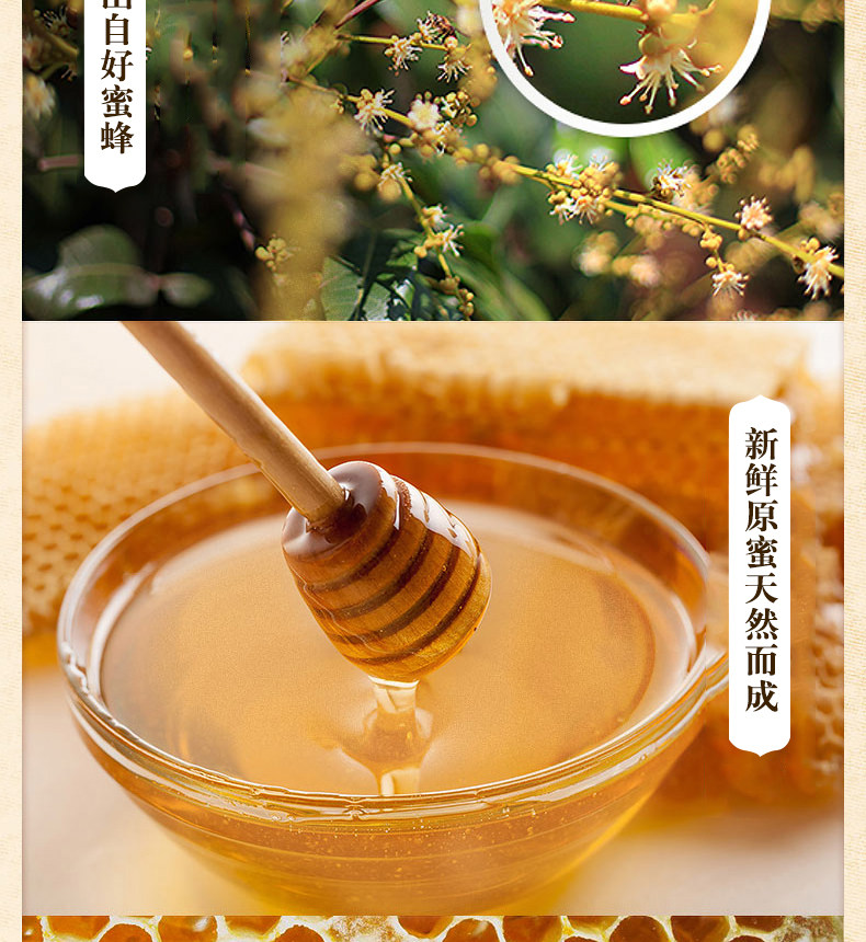 Honey_05.jpg