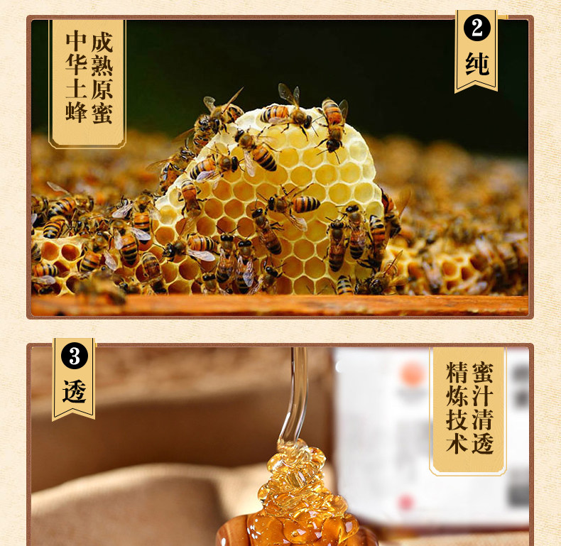 Honey_11.jpg