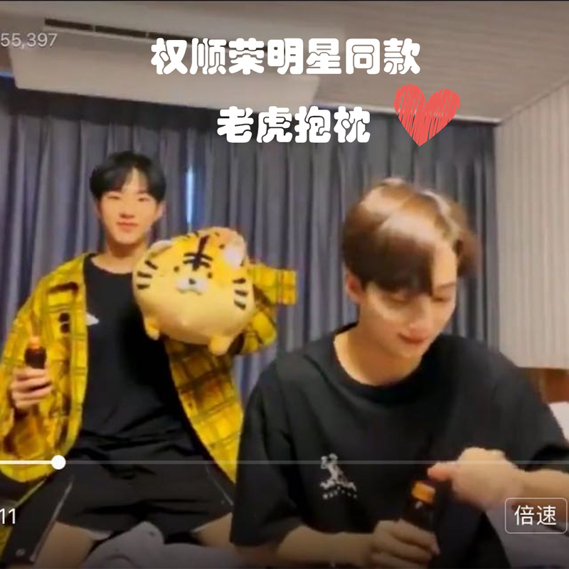 Seventeen's Kwanghyun-Joong's Same Style Tiger Pillow, Creative down Cotton Lying Posture Printed Zebra Yellow Tiger Cushion Seventeen's Kwanghyun-Joong's Same Style Tiger Pillow, Creative down Cotton Lying Posture Printed Zebra Yellow Tiger Cushion