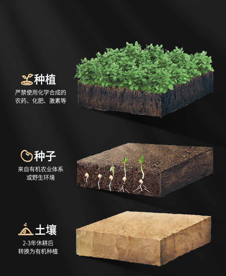 安享好物 安享S级老抽-千禾有机老抽 国标 