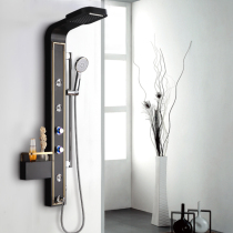 Farnpu Stainless Steel Shower and European Paint Shower Screen Bathroom Shower Screen Large Shower