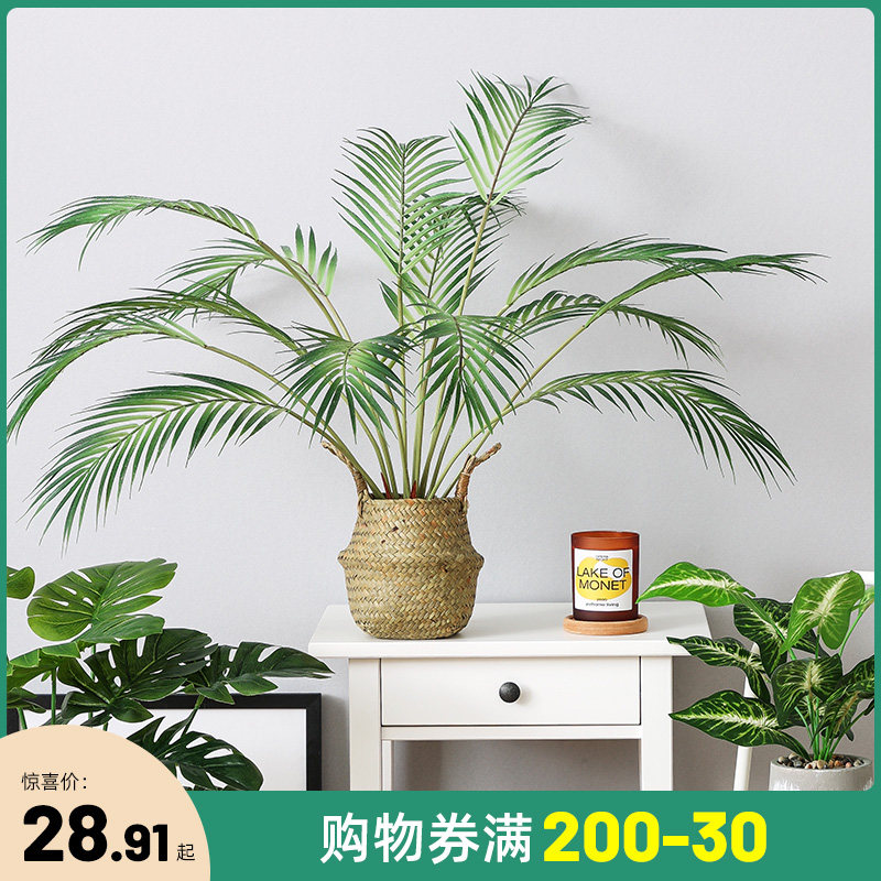 Nordic Emulation Green plant Tail Sunflower Plant Pendulum with Living Room Table Top Green Plant Furnishing Decoration Small Potted Plant-Taobao