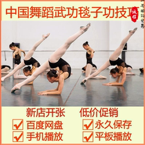 Chinese Dance basic skills blanket skills teaching video martial arts North dance Middle School teaching material female class male training class