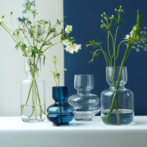 Gardenia beauty home simple glass net red flower bottle water raising creative dry flower vase Transparent flower bottle flower arrangement bottle