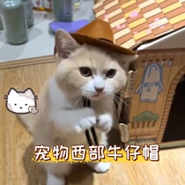 Pet Hat Cat Dog Western Cowboy Hat Mini Hat Photo Props Party Supplies Headwear Accessories