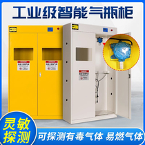 Fleish industrial gas cylinder cabinet safety cabinet laboratory acetylene oxygen nitrogen storage cabinet explosion-proof cylinder cabinet