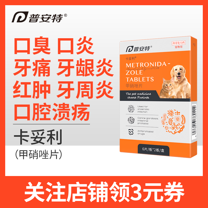Pointe dog oral ulceration cat bad breath stomatitis toothache gingivitis red swelling pet periodontitis metronidazole