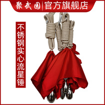 Stainless steel solid meteor hammer rope dart round shape traditional martial arts training equipment with 4 meters rope and red cloth