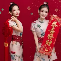 AM-20 Cheongsam+талия