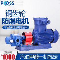 Pusi kcb explosion-proof copper gear oil pump three-phase 380v flameproof gasoline methanol alcohol chemical high pressure self-priming pump