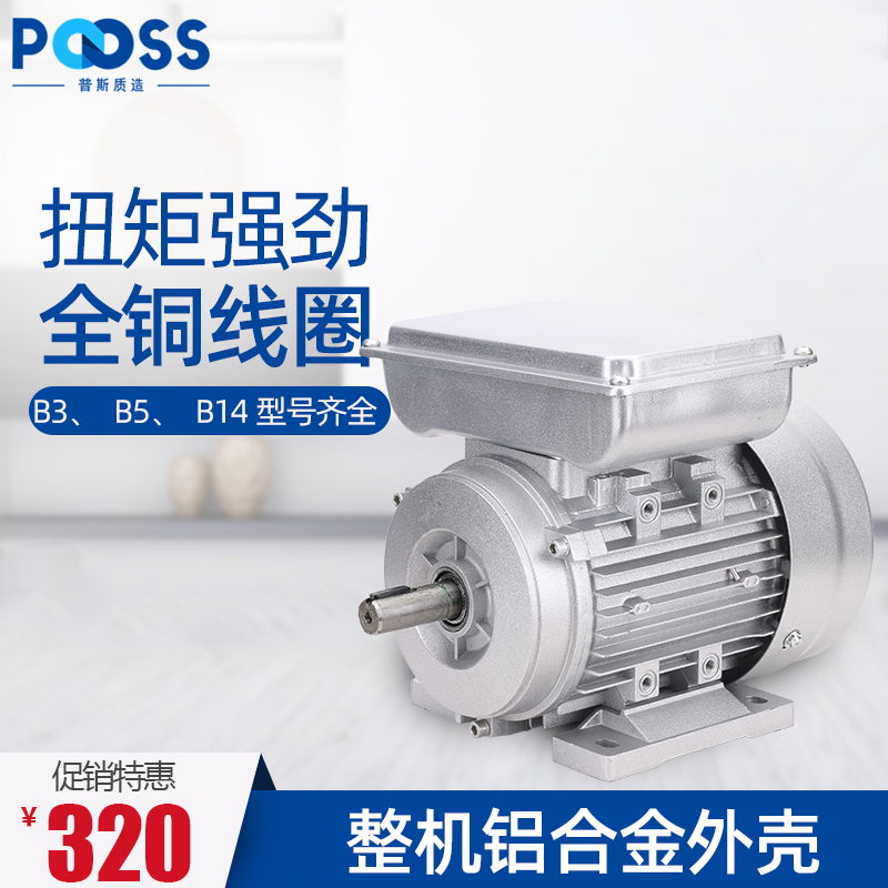 Pus YL aluminum shell single-phase 220 copper core motor household two-phase motor 250 370 550 1 5KW horizontal