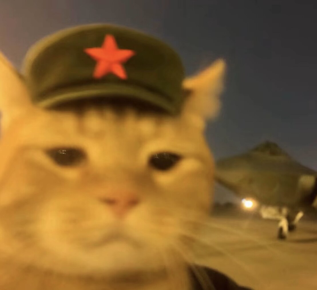 摸鱼满意