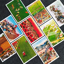 (Selection of Peasant Paintings from Jiutai County) Collection of Postcards of Paintings from the 1970s Nostalgia and Cards for Friends Copying Old Paintings