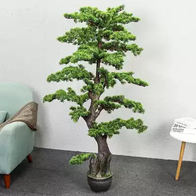 Simulation tree Fortune tree Fake tree fake flower living room decoration green green plants floor-to-ceiling silk flower pot planting plastic bonsai