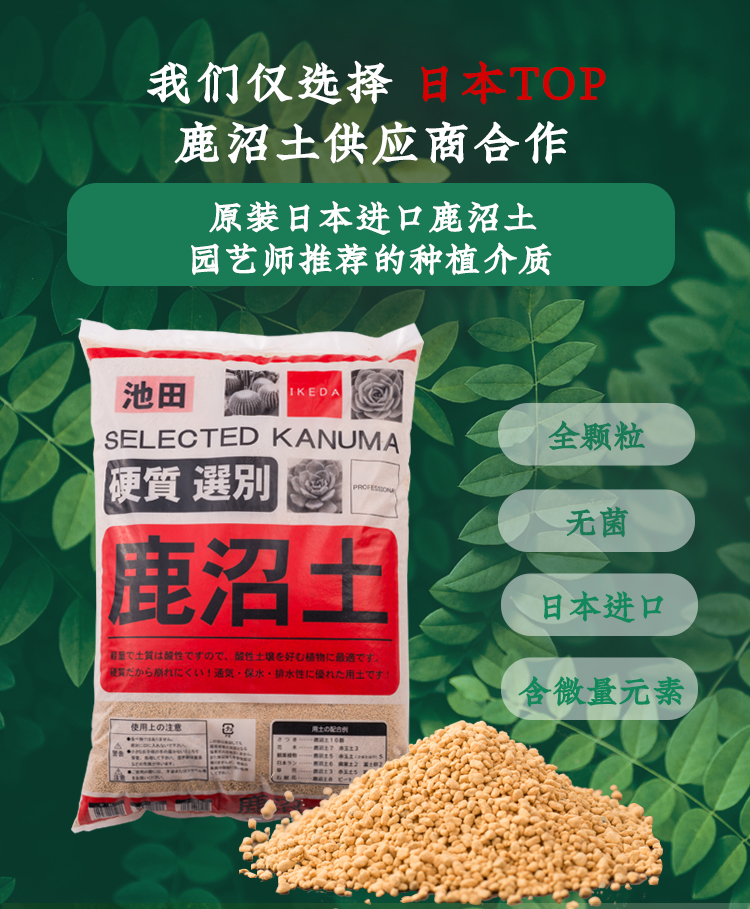Deer marshes Japan imports multimeat granular soil plants Orchid rhododendron weak acid nutrient soil paving stone whole packaging