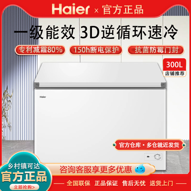 Haier Bc/Bd-300Ghpd Large-Capacity Freezer, Fully Frozen, Frost-Reduced Horizontal Freezer for Fresh Preservation and Freezing