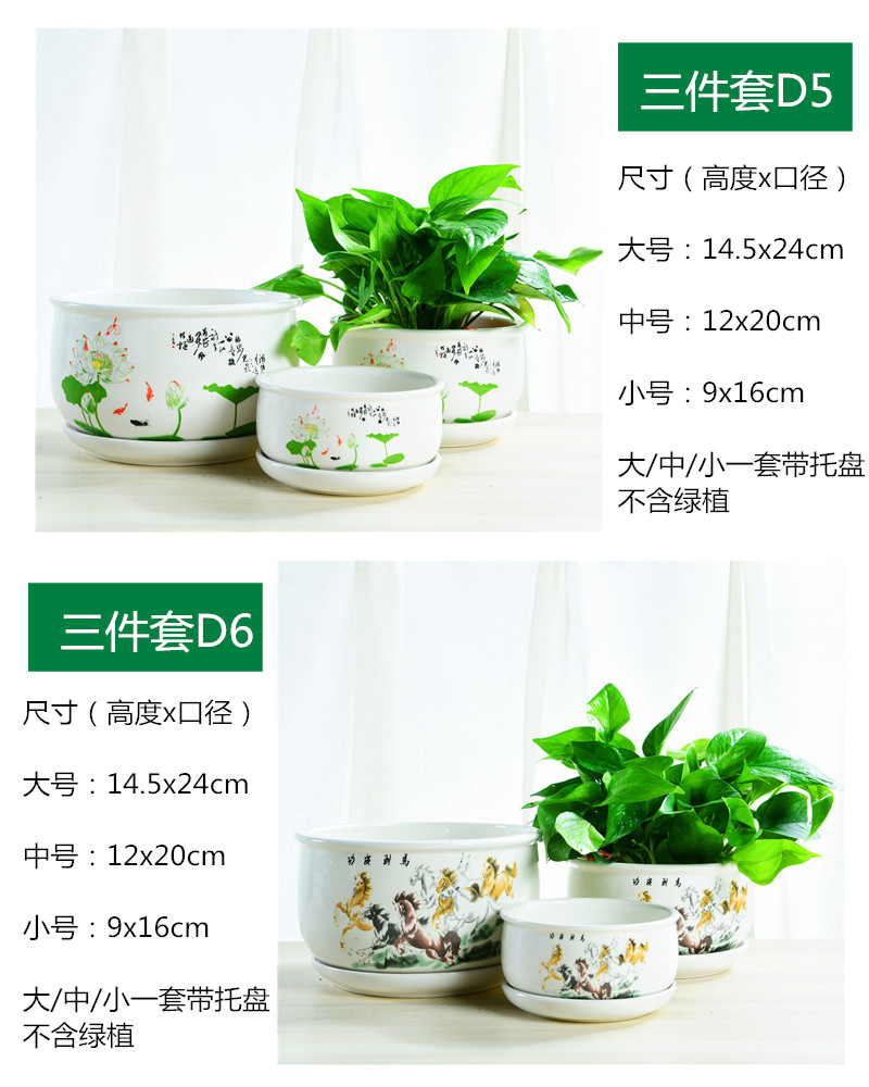 ZhuoJie fleshy flowerpot flower of bracketplant of the ceramic with extra large tray was contracted, the plants indoor household package mail