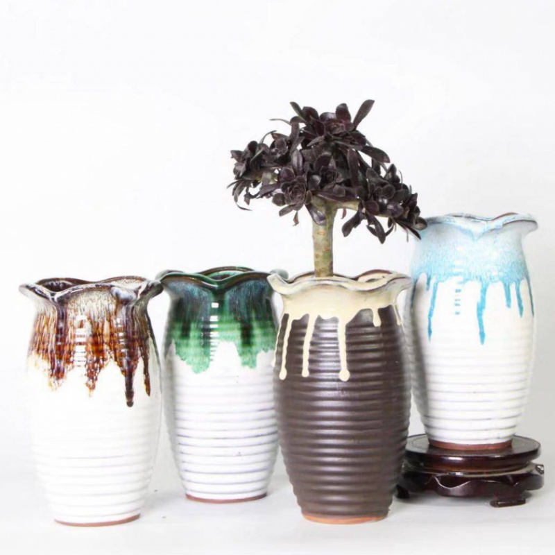 Meaty plant POTS much meat rose in coarse pottery flowerpot contracted violet arenaceous mage gop ceramic sale