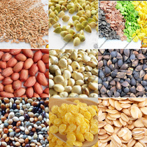 ~ Hamster general grain self-matching DIY ingredients Melon seeds Hemp seeds Buckwheat Corn Oats Peanuts Sorghum golden silk bear~