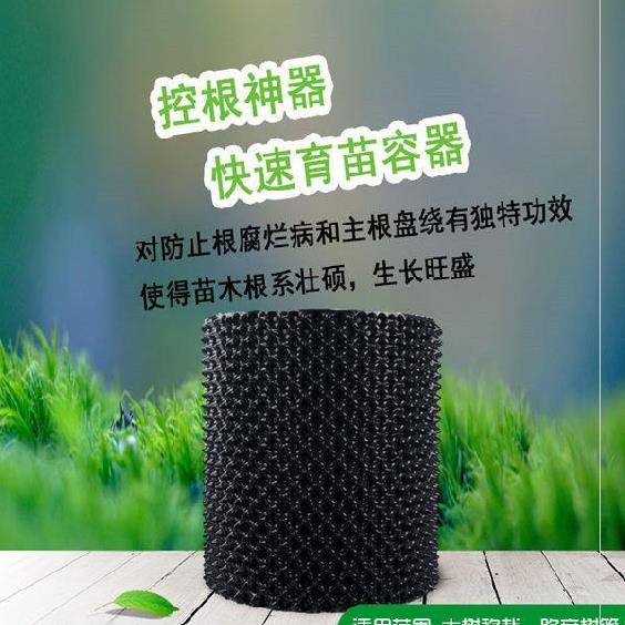 Root base of root pot pot pot pot pot pot pot pot pot pot pot pot root