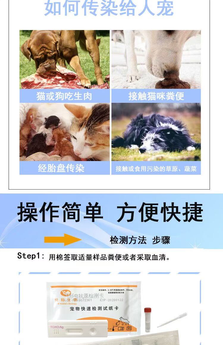 Pet cung cấp thử nghiệm giun hình con chó giấy pet mèo phát hiện virus TOXO chó mèo chung zoonosis - Cat / Dog Medical Supplies xi lanh thú y