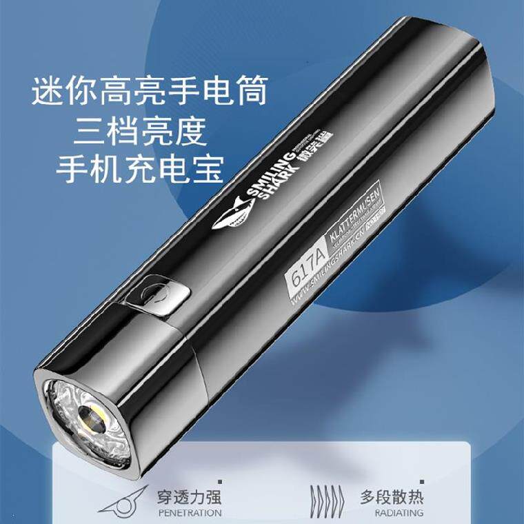 Flashlight household high-value durable charger multi-function ultra-long battery life outdoor LED micro